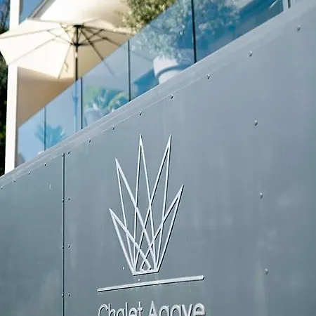 Agave- Adults Only