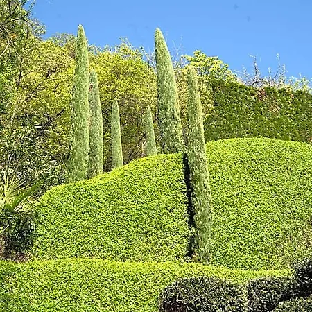 Agave- Adults Only Hotel 3*